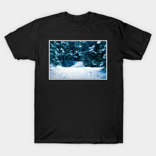 Hemlock Ravine Park 12 T-Shirt